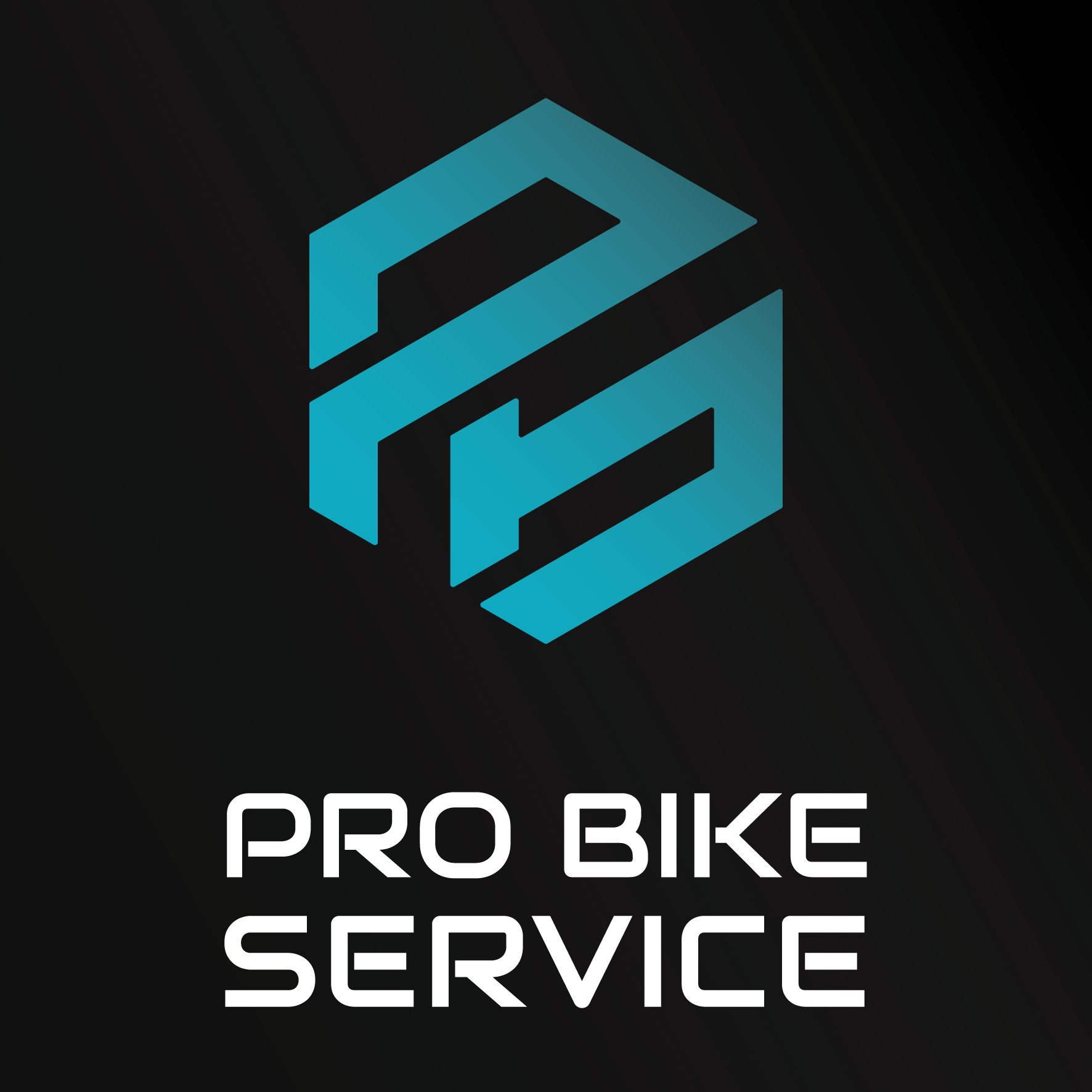 Pro Bike Service Srl